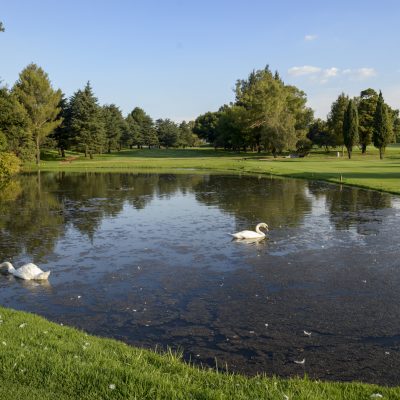 Killarney Country Club Golf Course 4